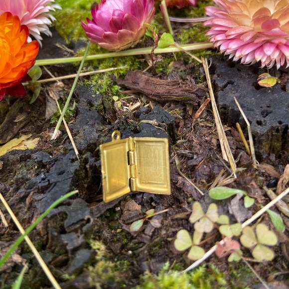 VINTAGE Tiny Book Style Brass Lockets 1910s GENUINE Love Lock Picture Frame - Picture 1 of 5
